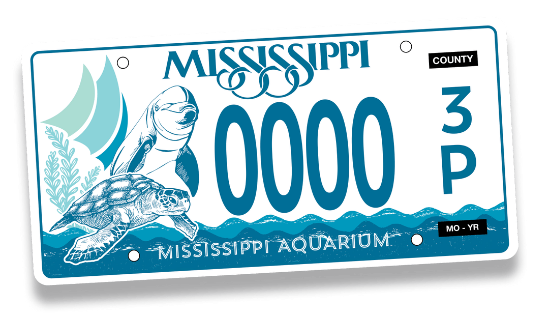 AllNew Aquarium on the Mississippi Gulf Coast Mississippi Aquarium