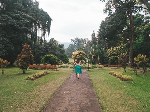 Kandy