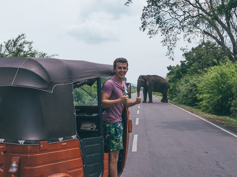 spotting elephants on the way to Kataragama