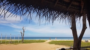 Arugam Bay