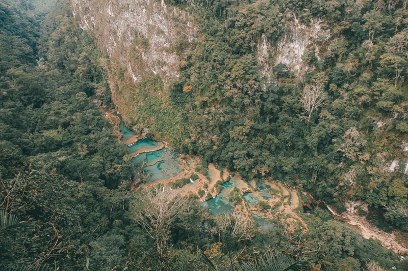 semuc champy