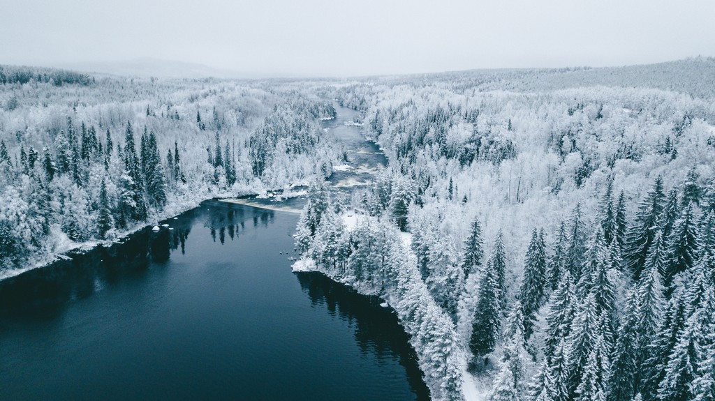 swedish lapland