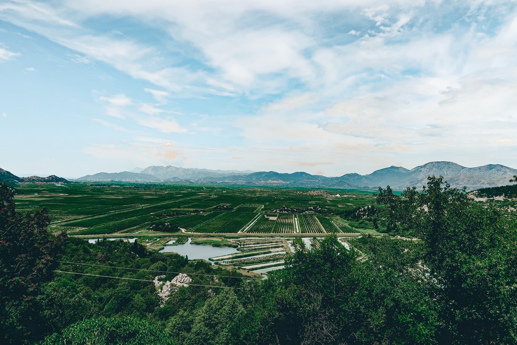coatia driving views