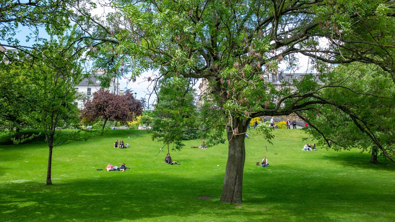 Public parks provide green spaces in urban settings