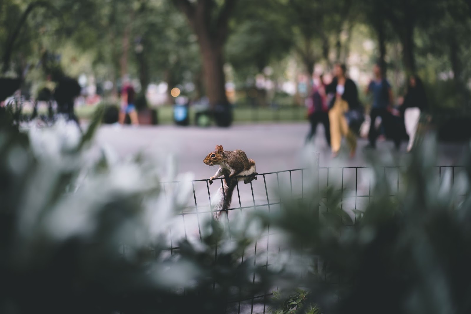 Parks and natural environment