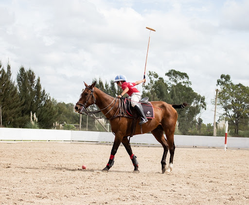 Omnify’s horse riding school booking system helped Equestria manage their classes effectively