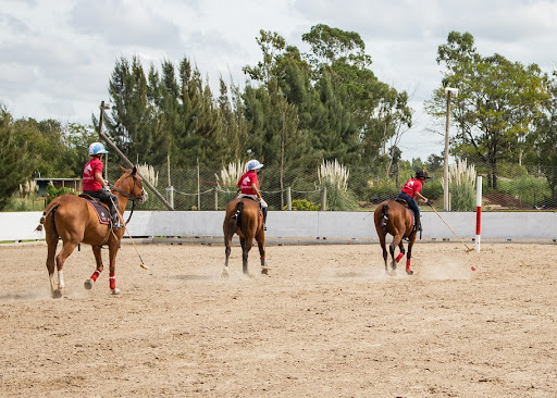 It was easy for Equestria’s staff to adapt to Omnify’s horse riding lesson booking software
