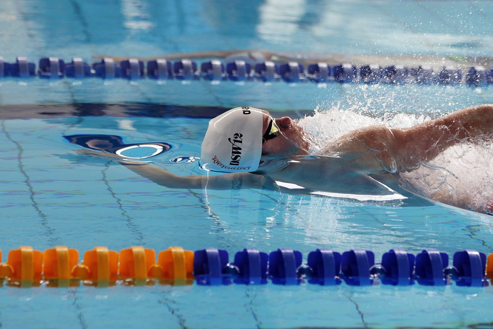 DSW 12 Darmstadt swimming club