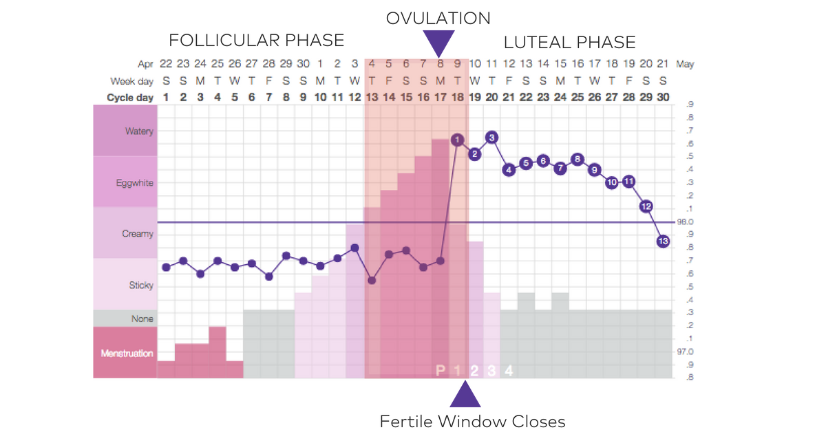 get ovulation chart example