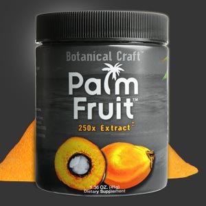Photo of Palm Fruit powder