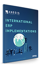 International ERP implementaions