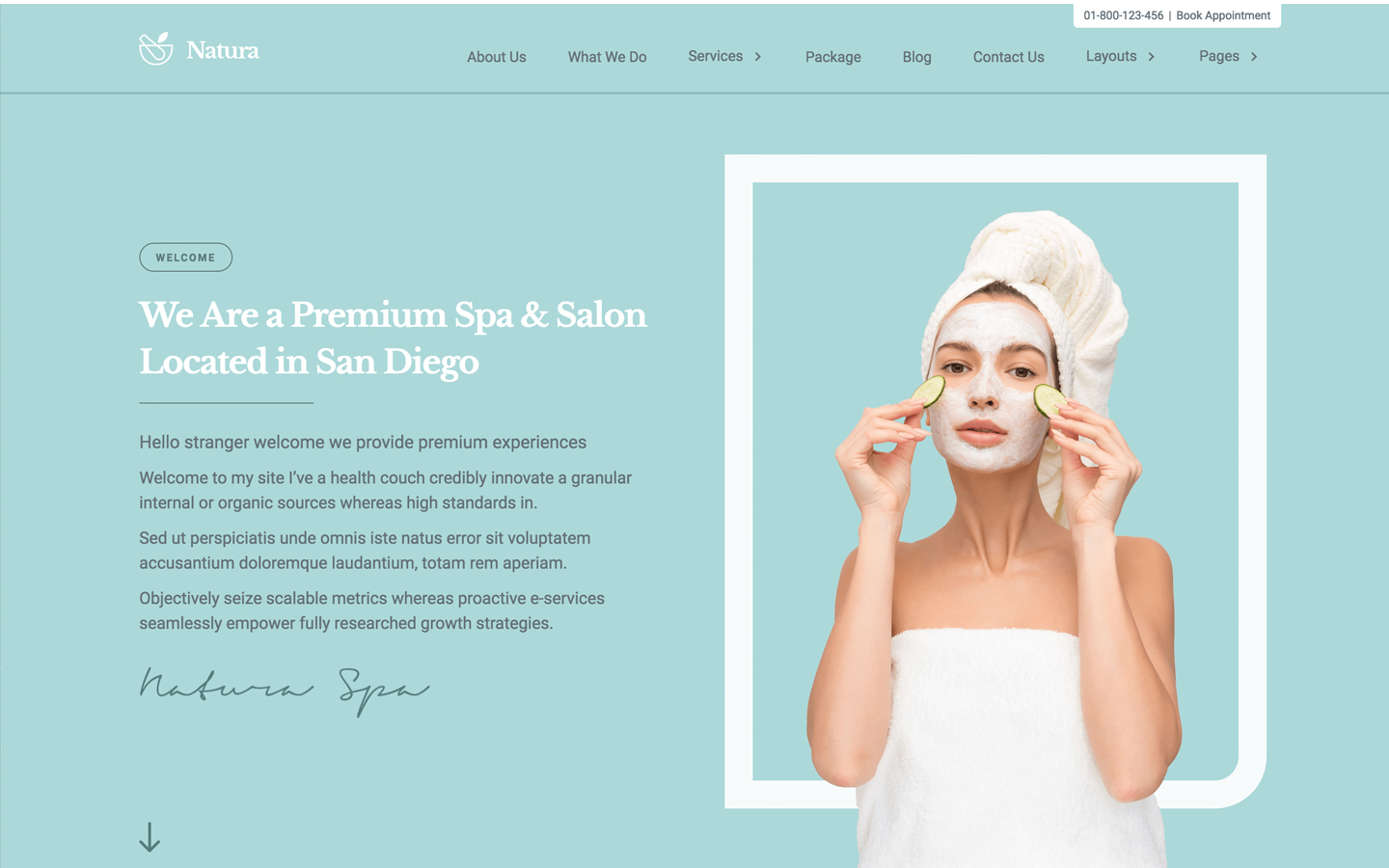 spa website templates available at webflow