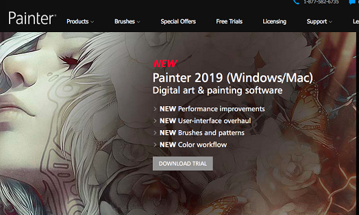 Corel Painter