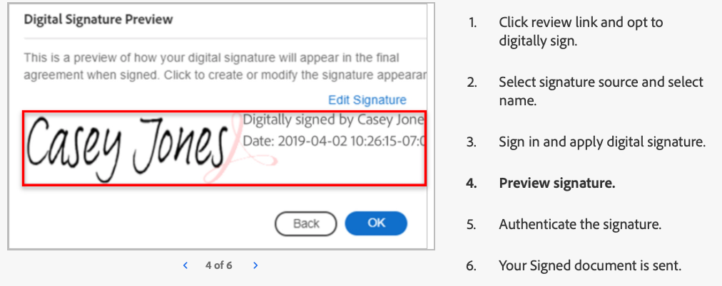 Digital signature preview