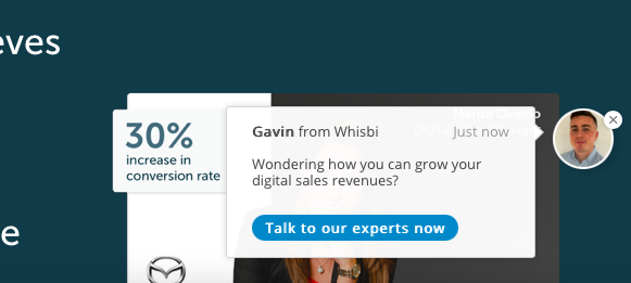 Whisbi chat support