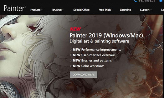 Corel Painter