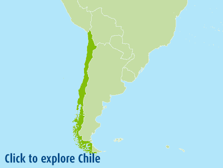 ....Chile..Chili....