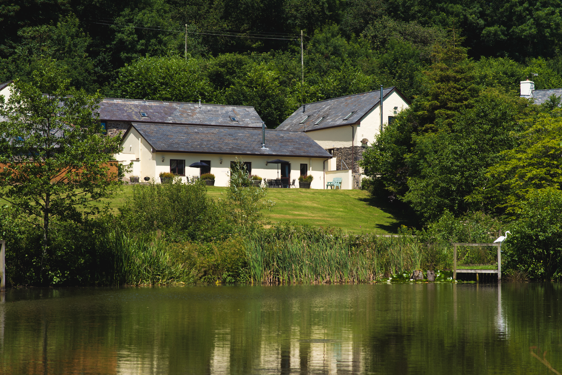 Cottage Groups Complexes From My Favourite Cottages