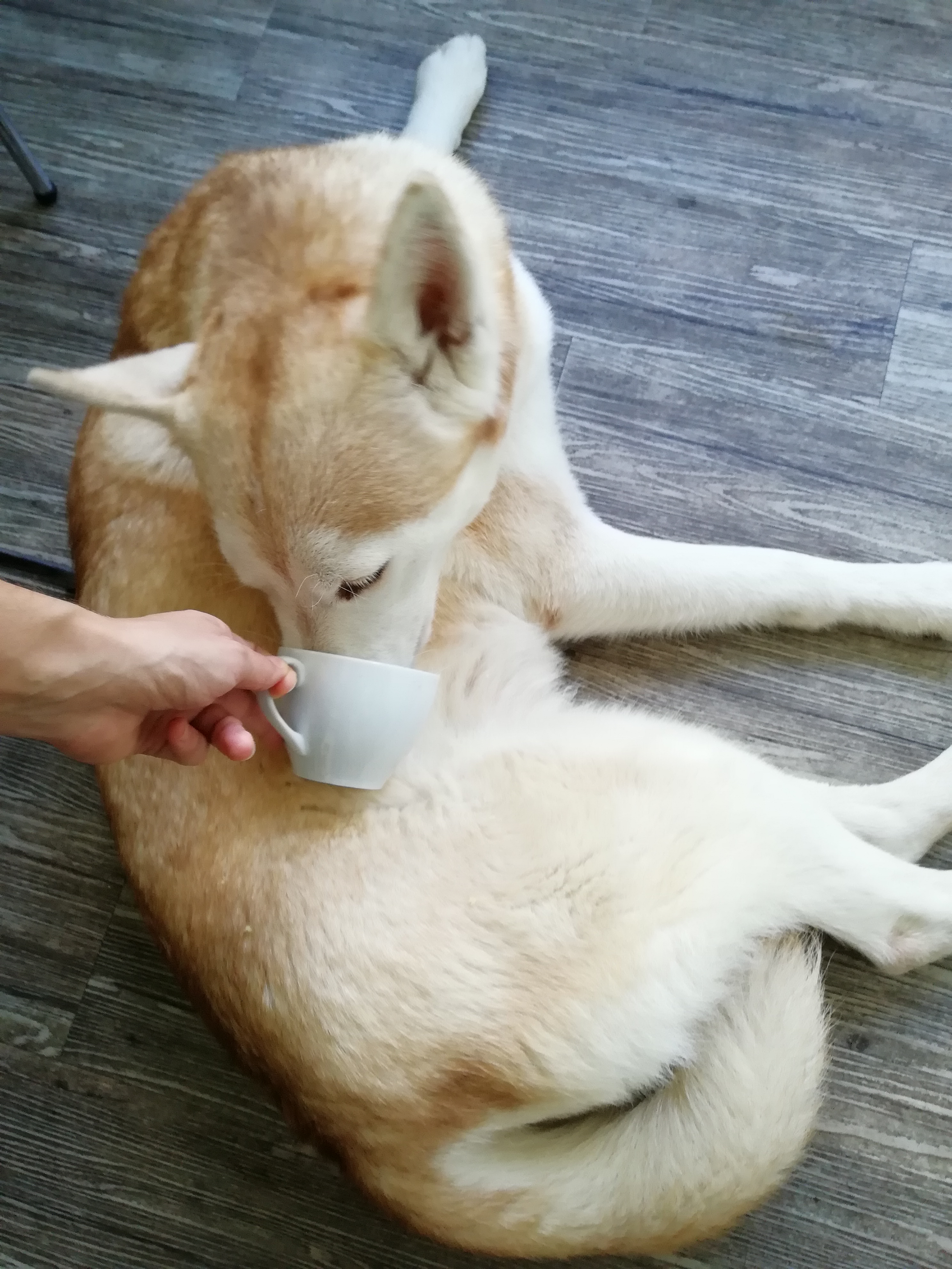 Bild von Taco