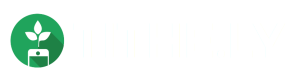 Tithe.ly