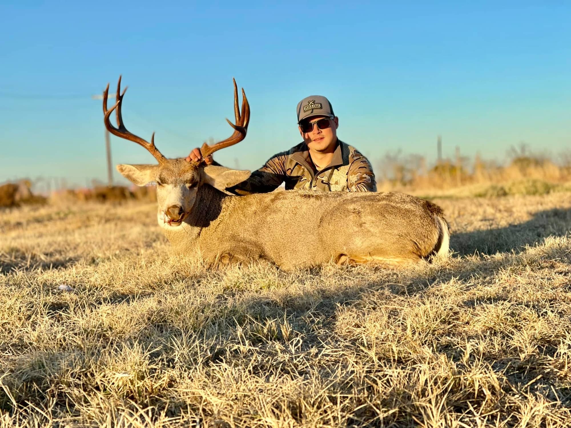 Texas Texas Mule Deer Pricing, Features, and More