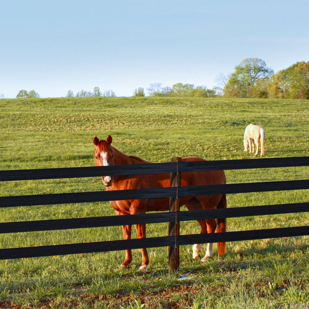 CenFlex Flexible Fence by Centaur