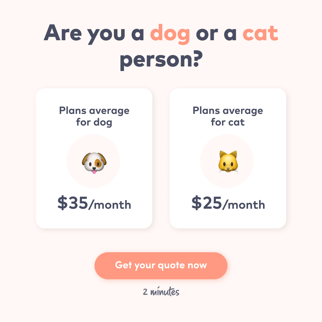 Pet Insurance Best Pet Insurance Canada Emma