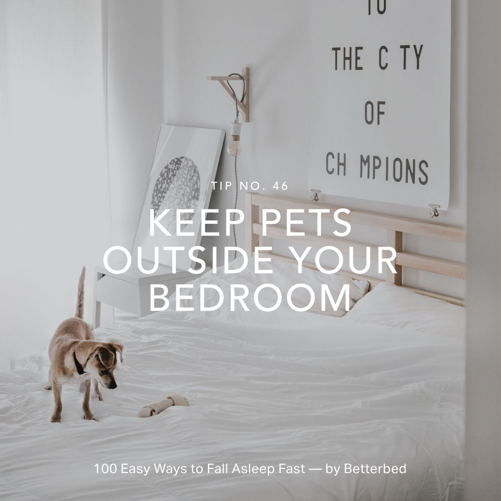 Keep pets outside your bedroom — by Betterbed