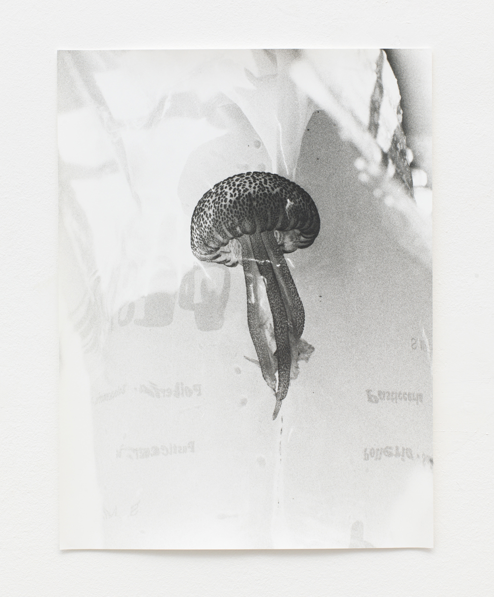 Jochen Lempert Ohne Titel (Plastic Bag III), 2017 Silbergelatineabzug, Gelatin silver print 38,1 x 28,7 cm, © Jochen Lempert, VG Bild-Kunst, Bonn 2020, courtesy of the artist and BQ, Berlin