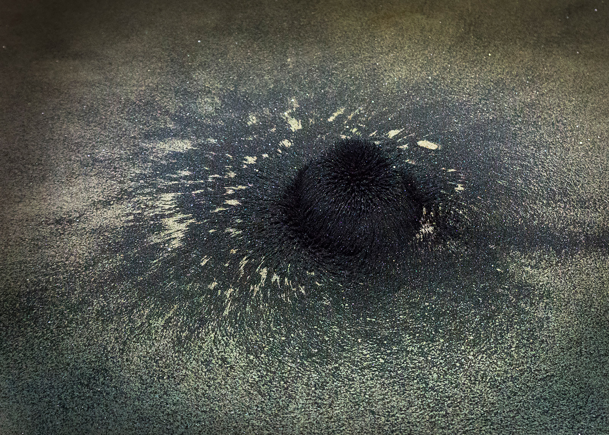 Jana Hartmann Cosmic magnetism, 2017, Pigmentdruck auf Hahnemühle Baryta Papier, © Jana Hartmann