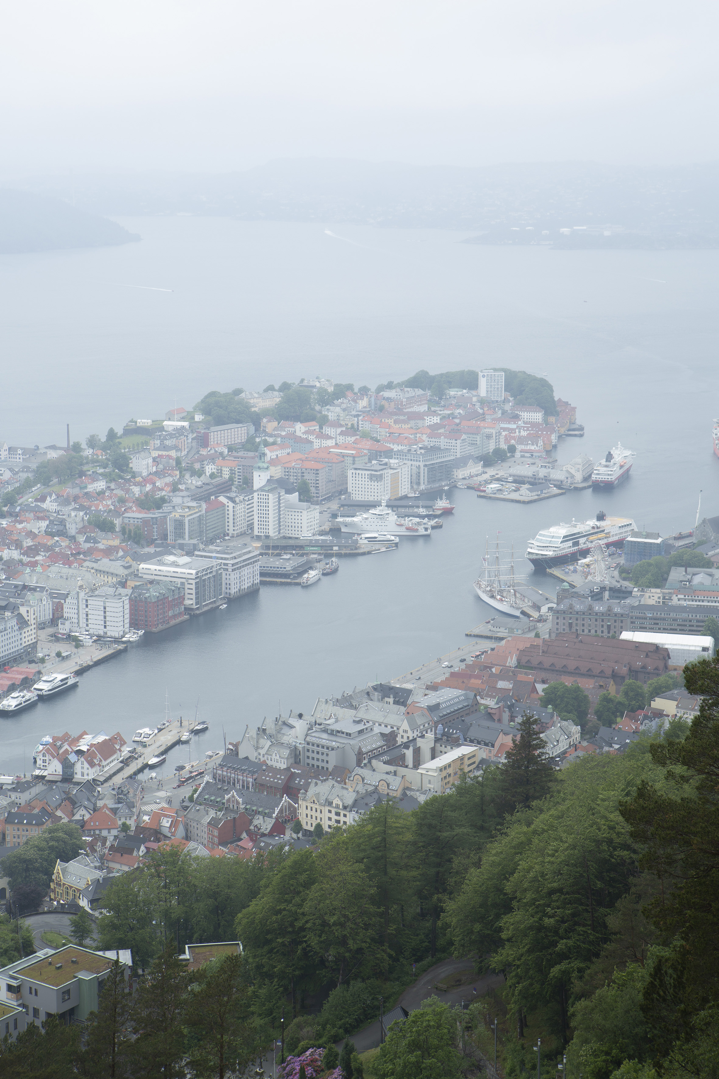 Stadtzentrum von Bergen vom Berg Fløyen aus gesehen. Foto: Giulia Mangione