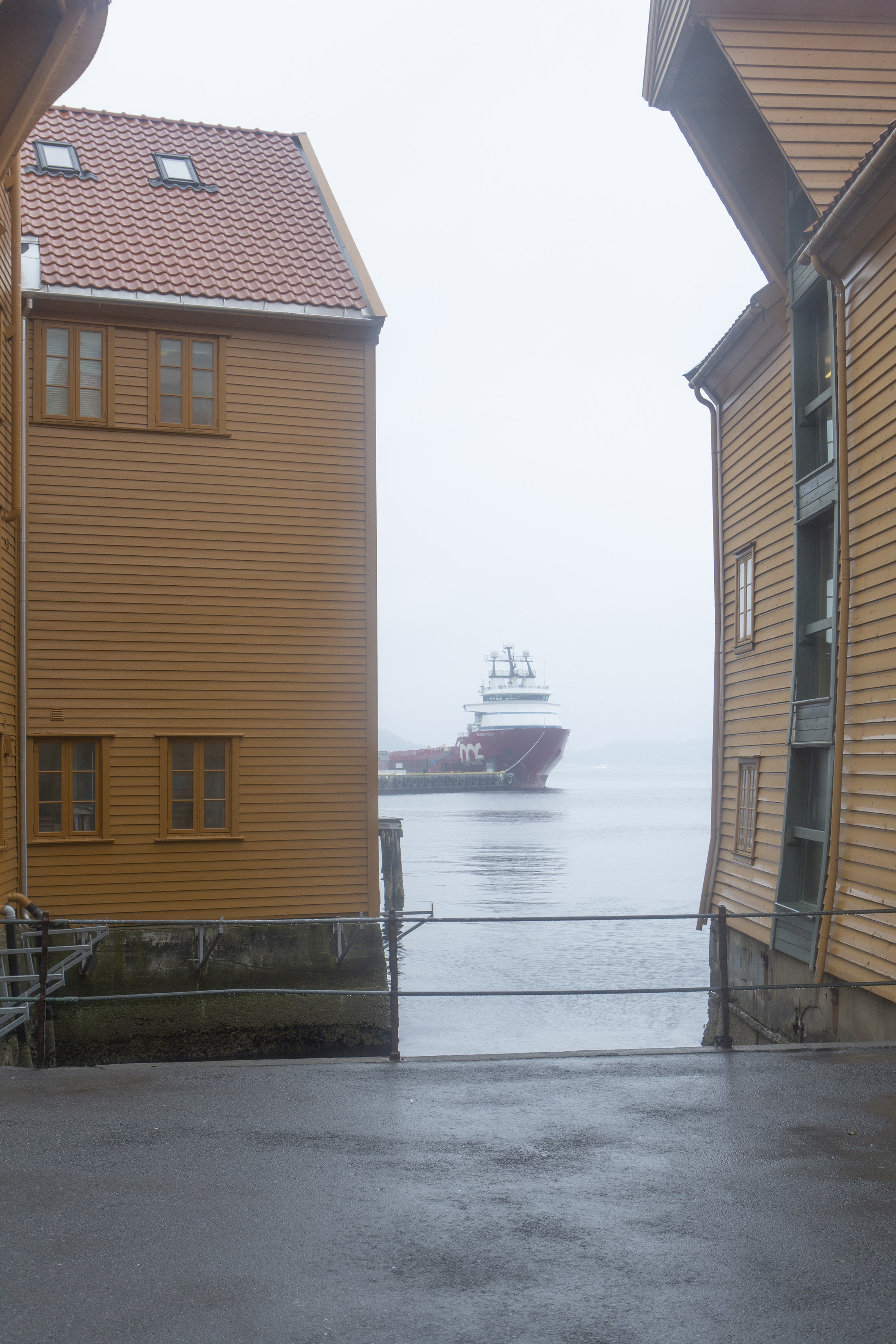 Hafen von Bergen. Foto: Giulia Mangione
