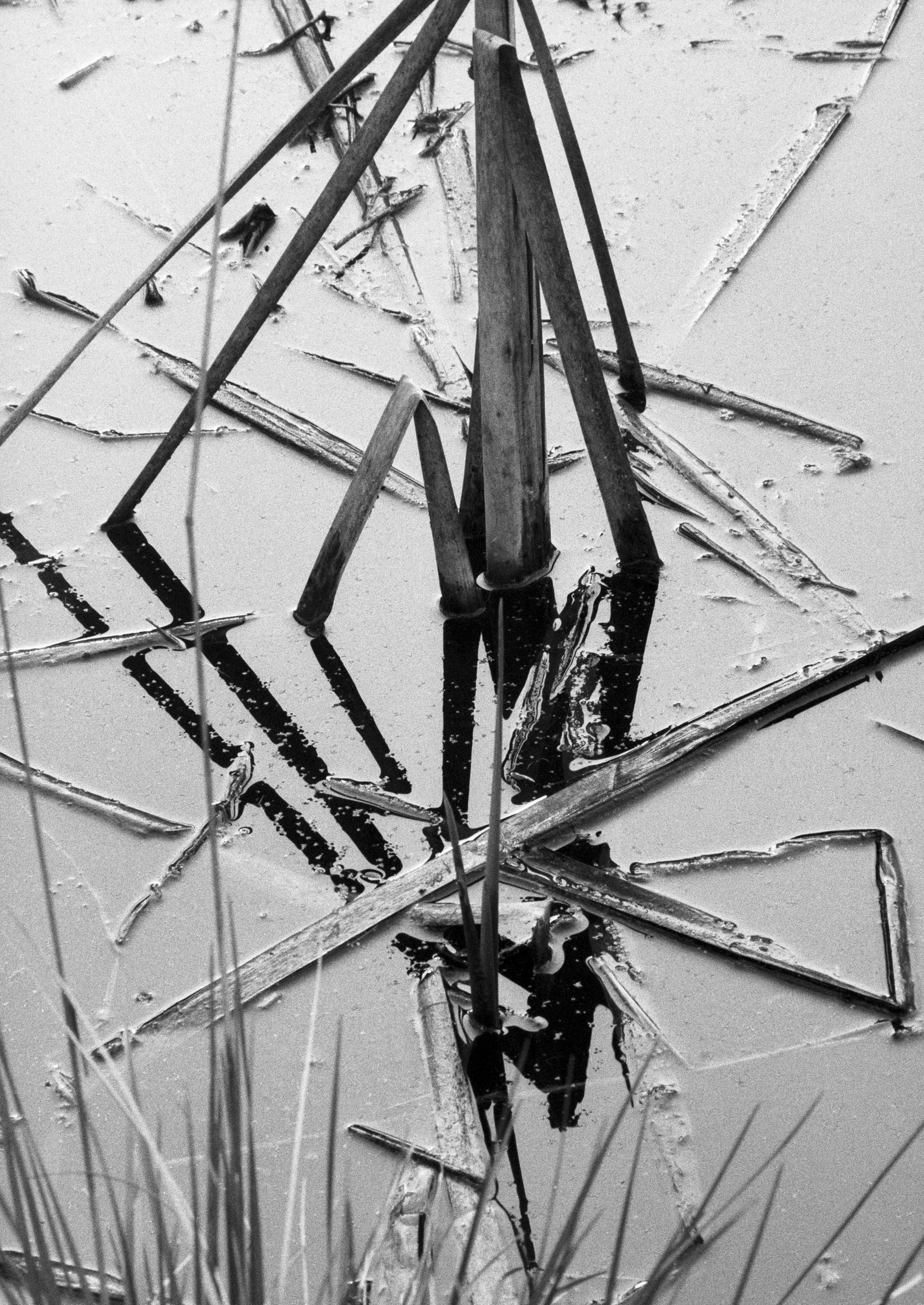 Herta Müller, Käuzchensteig, 1998 S/W-Fotografie, 29,7 x 21 cm © VG Bild-Kunst, Bonn 2022