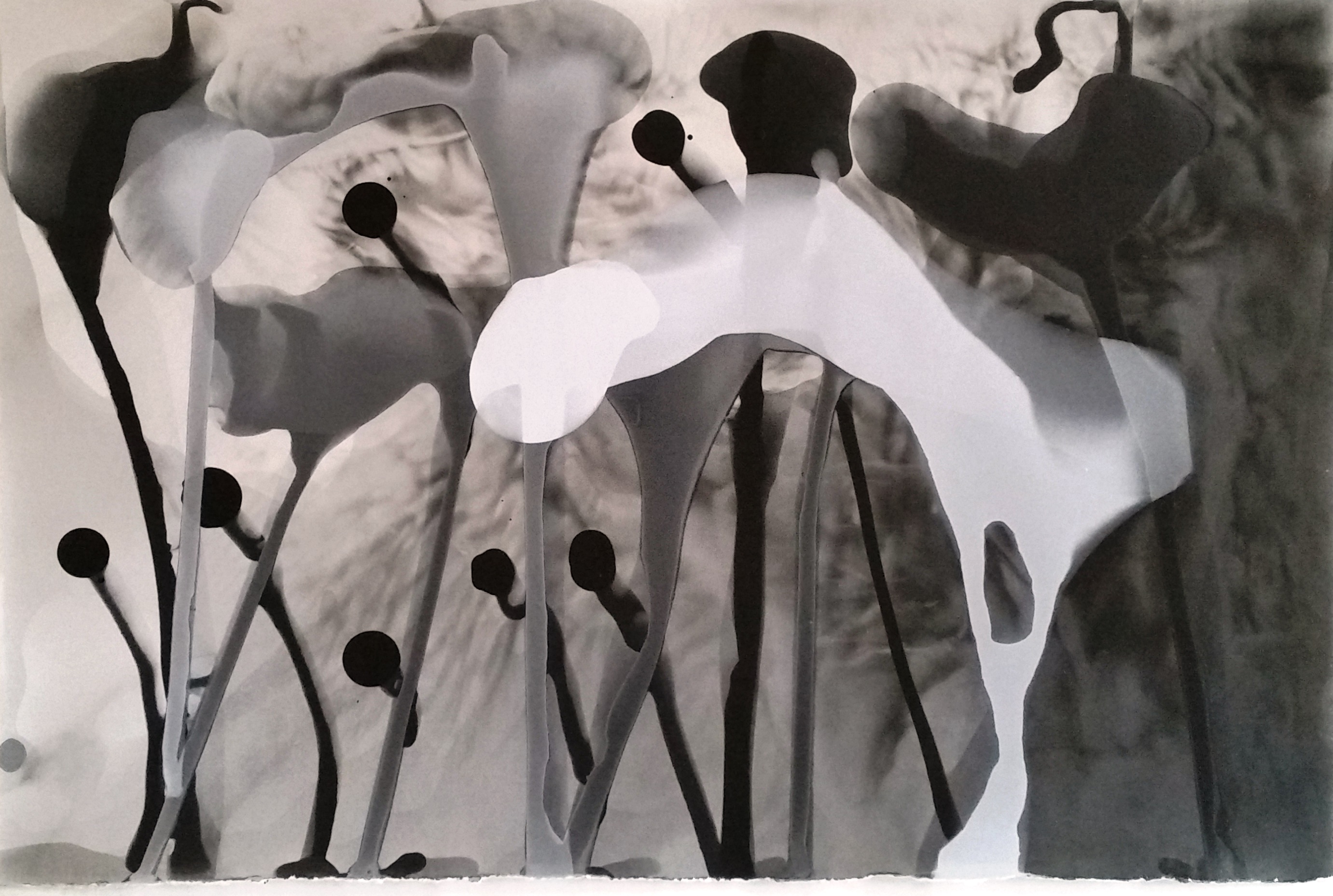 Michaela Maria Langenstein, Ohne Titel, 2011, Silbergelatineprint, 20,1 x 30 cm © Michala Maria Langenstein