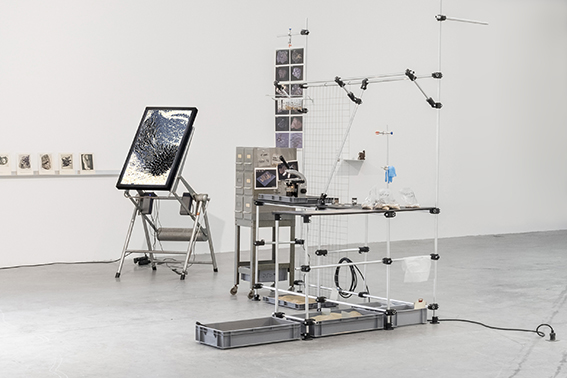 Anca Benera und Arnold Estefán, The Last Particles, 2018, Installationsansicht Frac des Pays de la Loire, Installation mit verschiedenen Materialien (HD-Video, Far-be, Ton, 8:45 min; Fotografien; Sand; Aluminiumgestell; Mikroskop; Laborschrank; etc.), Ton: Simina Oprescu, Sammlung Frac des Pays de la Loire © Anca Benera & Arnold Estefán, Foto: © FRAC, courtesy Frac des Pays de la Loire; Fanny Trichet