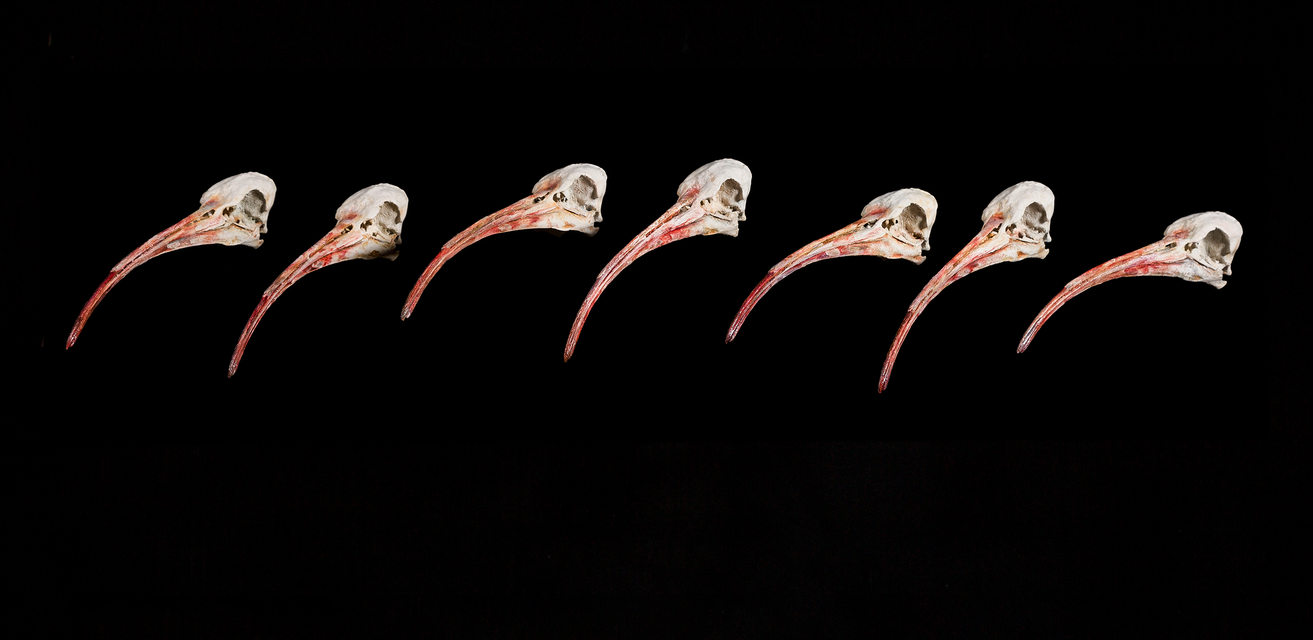 Hrair Sarkissian, Final Flight, 2018-2019, Co-produziert von Sharjah Art Foundation, Sammlung Bonnefanten