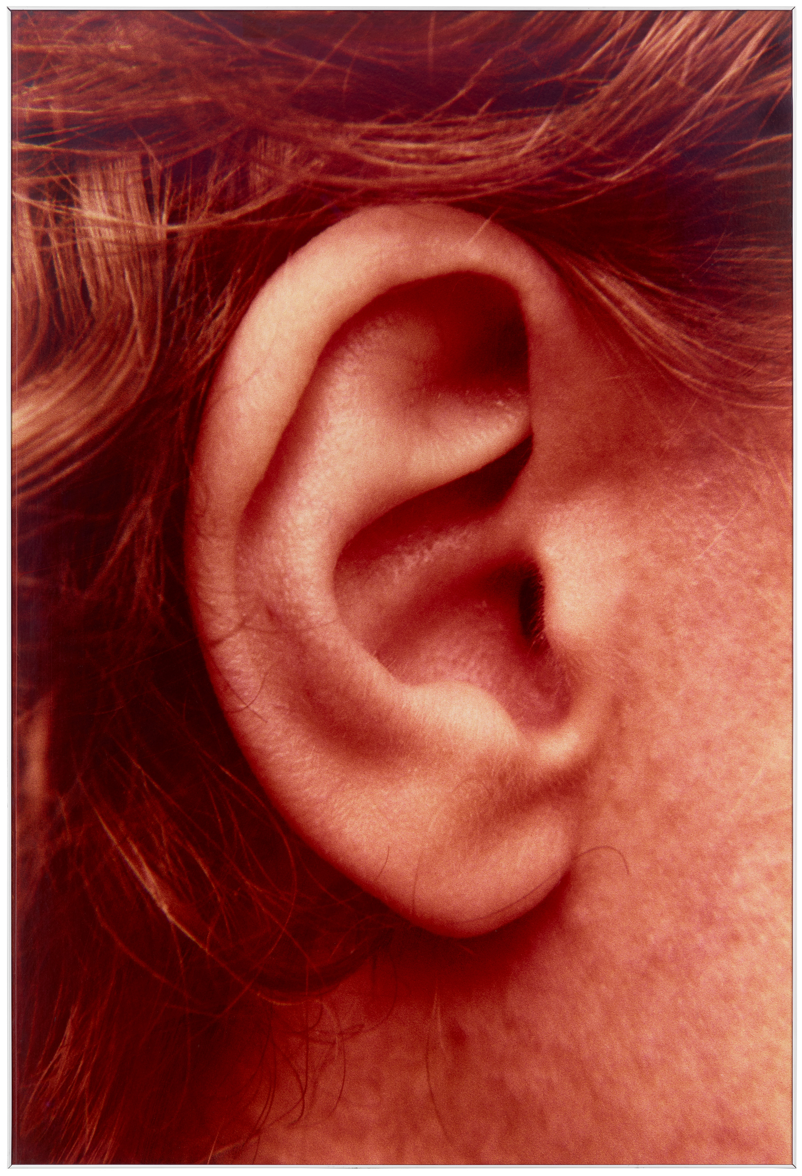 Isa Genzken, Ohr, 1980, Chromogener Farbdruck auf Spanplatte in Künstlerrahmen, Courtesy Galerie Bucholz © 2023 ProLitteris Zürich