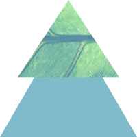 Environment & sustainability