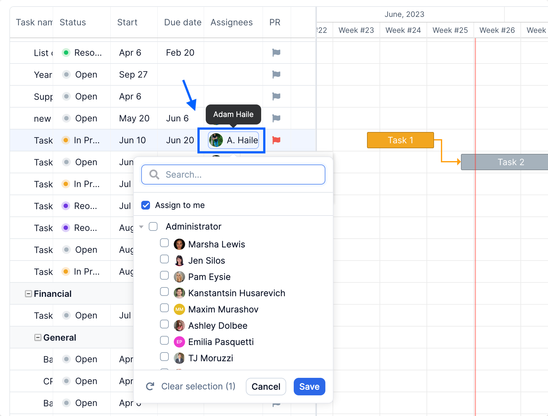 Gantt Chart View