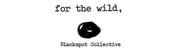 blackspot collective