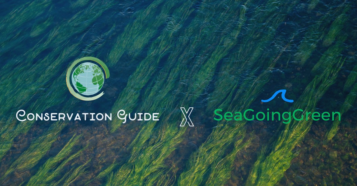 Conservation Guide partners with Sea Going Green News Conservation
