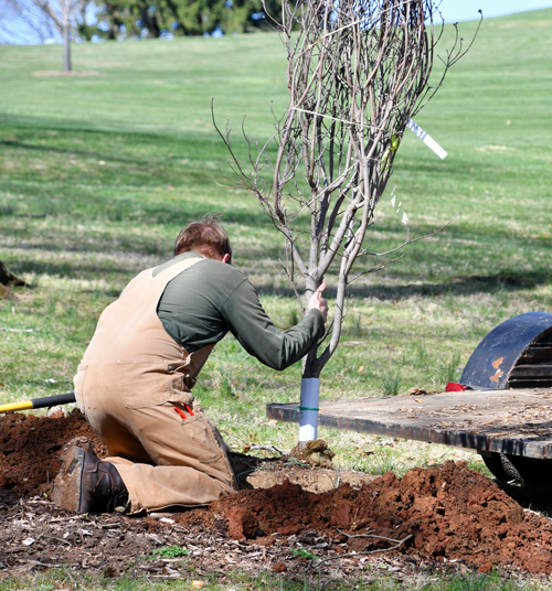 5 common myths about Colorado workers� compensation insurance. 5 common myths about Colorado workers� compensation insurance.