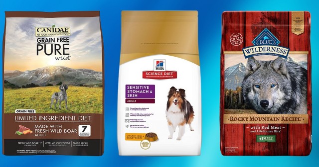 10 Best Exclusive Dog Food 2019 [Buying Guide] – Geekwrapped