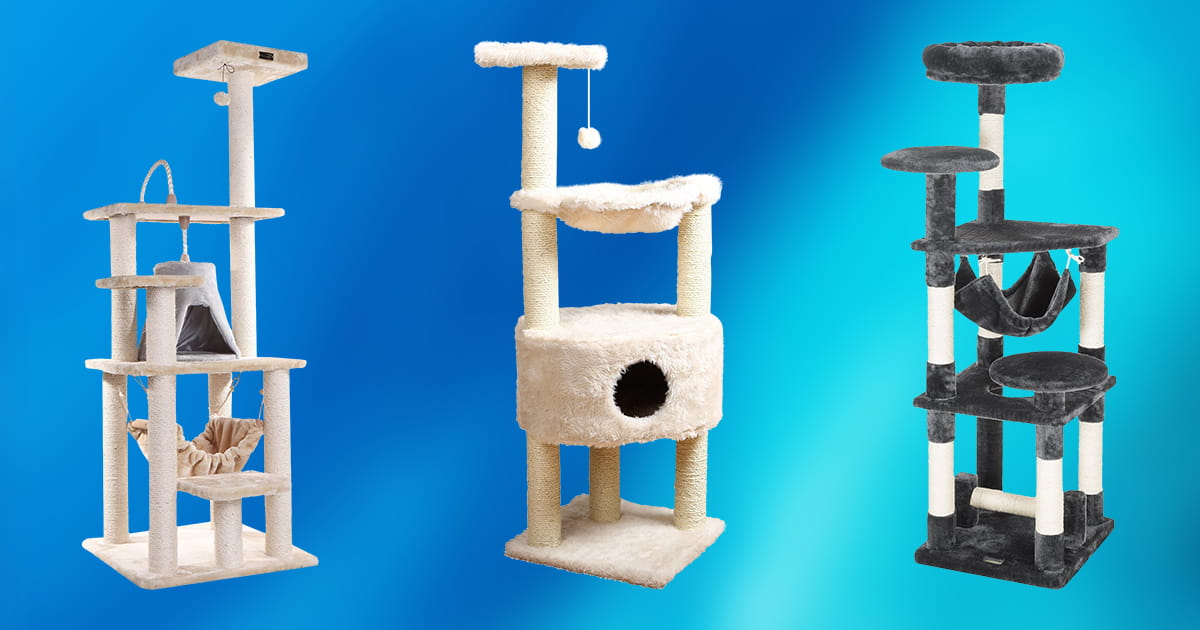best cat towers 2022