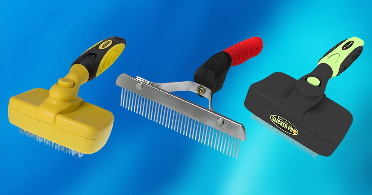 10 Best Brushes for Husky Hair 2020 [Buying Guide] Geekwrapped