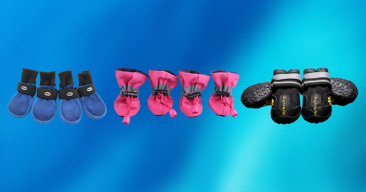 Best Dog Shoes Review + Top 10 Picks