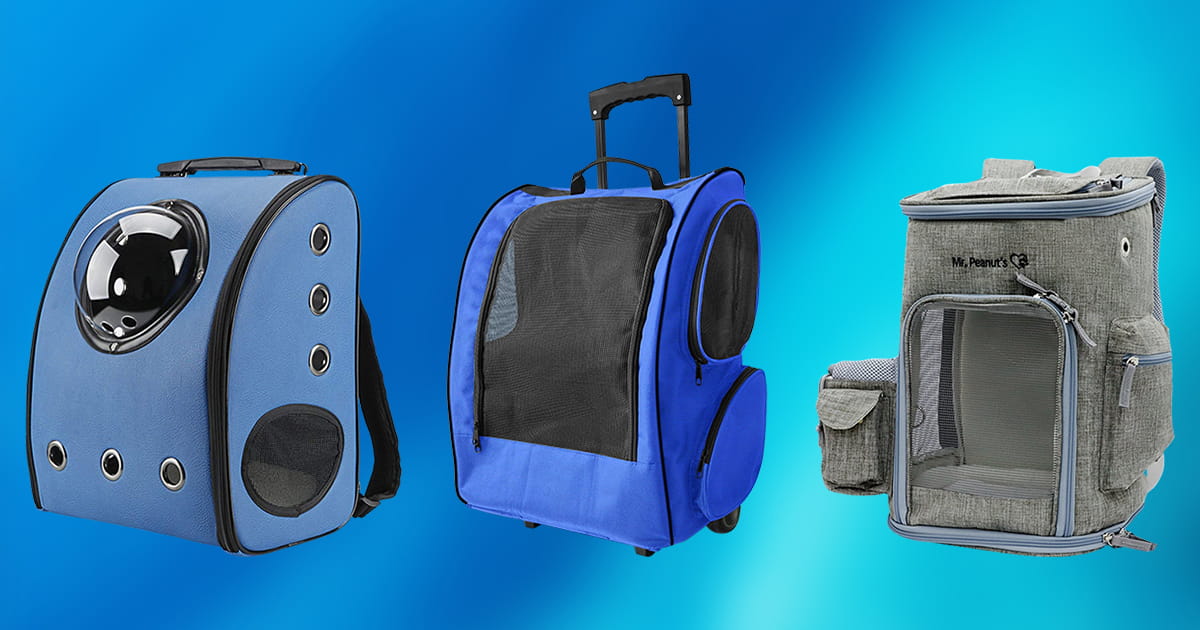 Best Dog Backpacks Review + Top 10 Picks