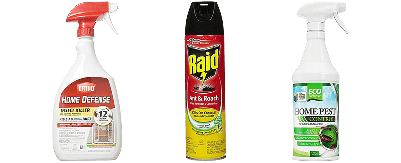 best ant protection