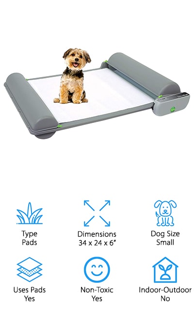 automatic dog pad