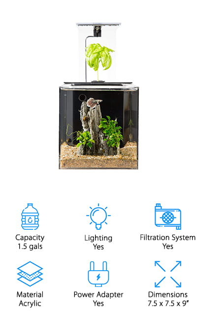 30 best aquaponics home garden images on pinterest